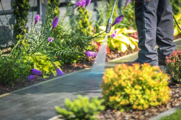 Best Spring Cleaning  in Pines Lake, NJ