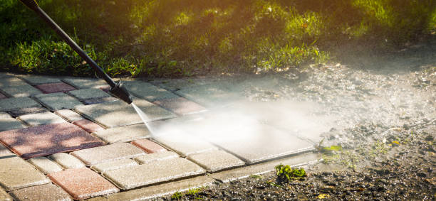Best Animal Enclosure Cleaning  in Pines Lake, NJ