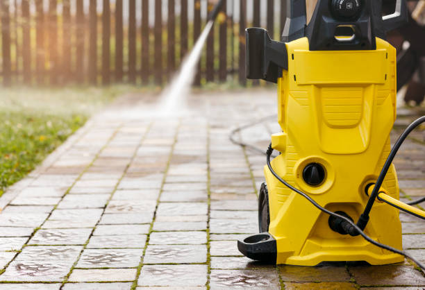 Animal Enclosure Cleaning in Pines Lake, NJ